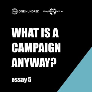 What is a campaign anyway? essay.