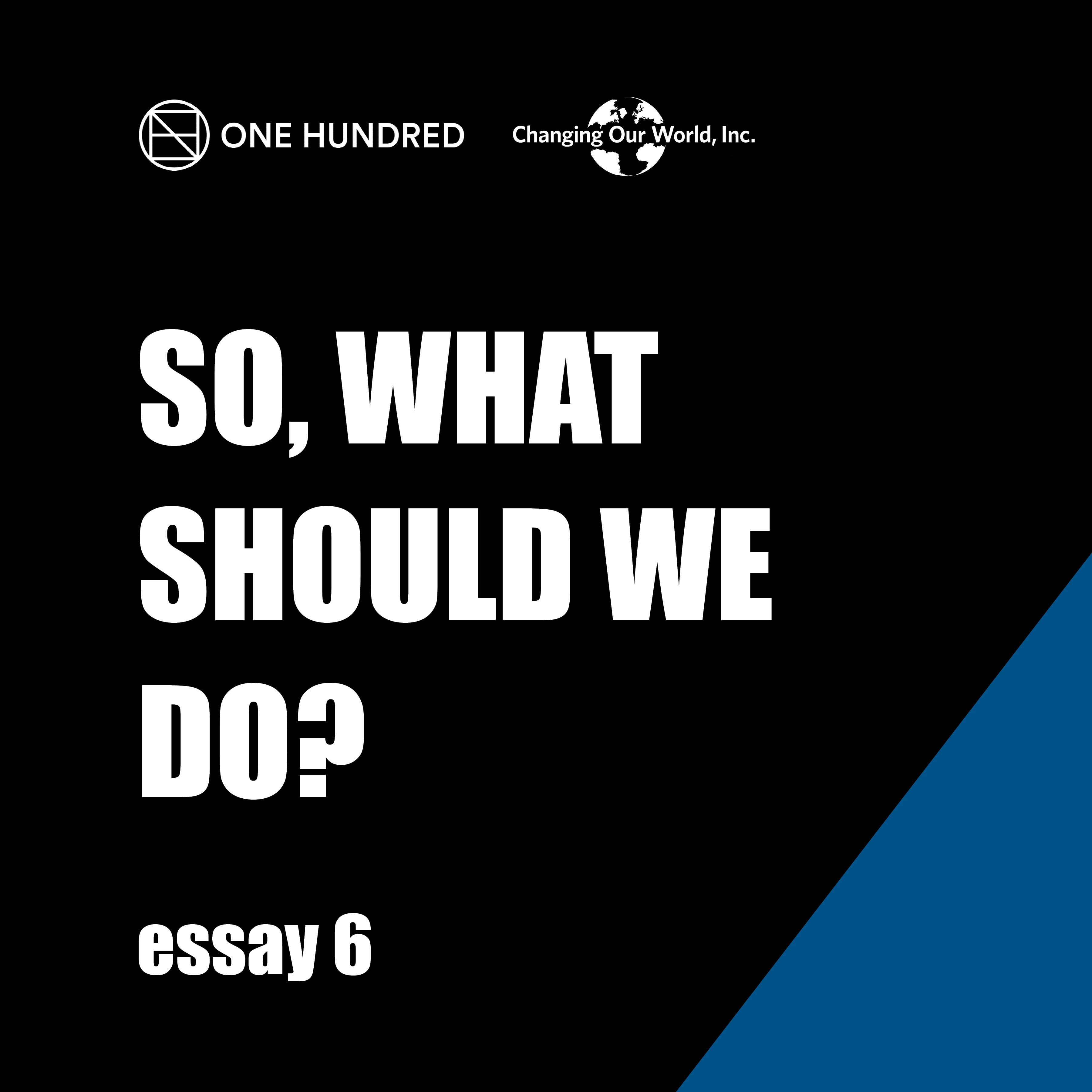 So, what should we do essay 6.