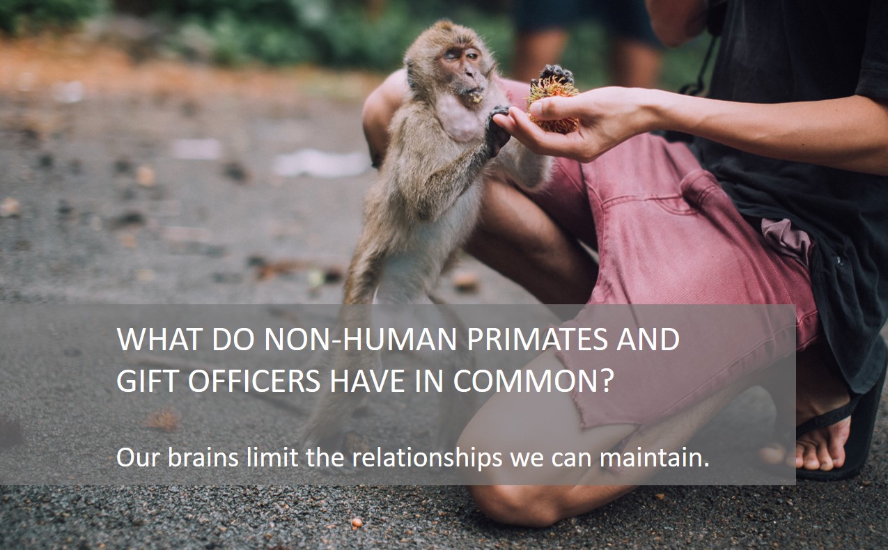What do non human primates and gift officers have in common?.