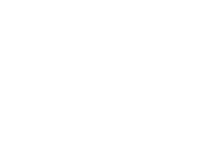 stjohns university logo